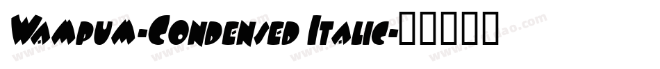 Wampum-Condensed Italic字体转换